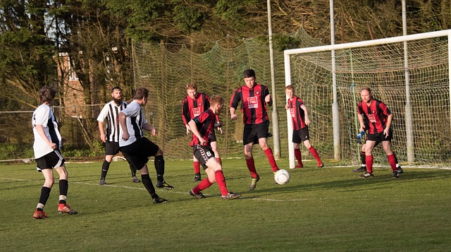 例与此并无 例与此并无