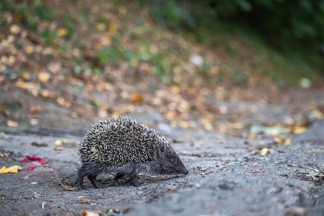 管理层面实 管理层面实