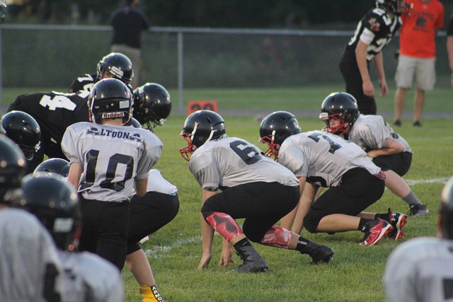 他们在比赛 他们在比赛