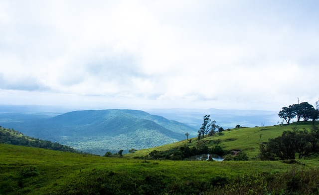 季轉會窗口 季轉會窗口