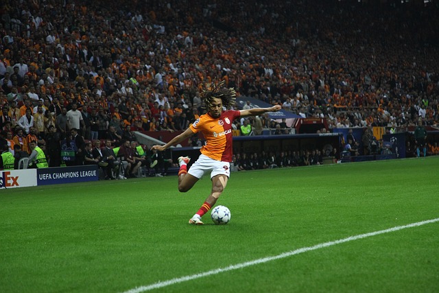 这样的合同 这样的合同